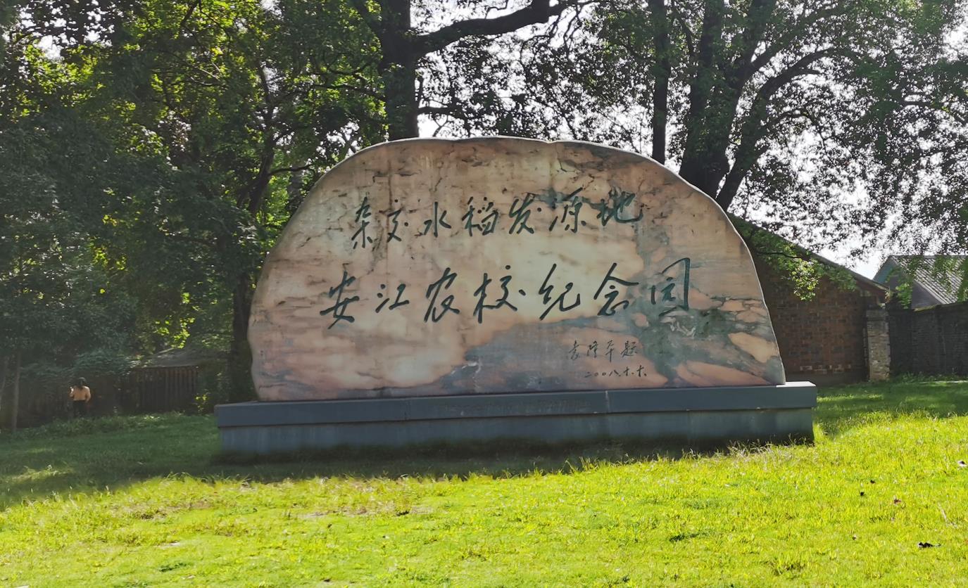 1660203275241904.jpg 1660203275241904.jpg