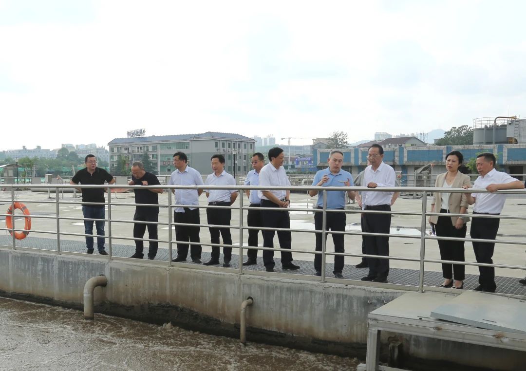 1749690302687879.jpg 1749690302687879.jpg